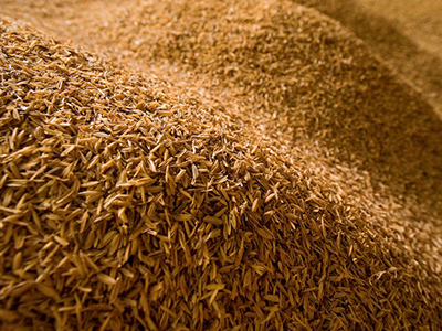 rice-husk-renewable