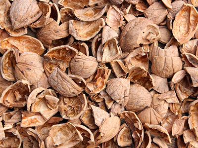Walnut shell