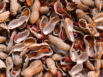 peanut shell