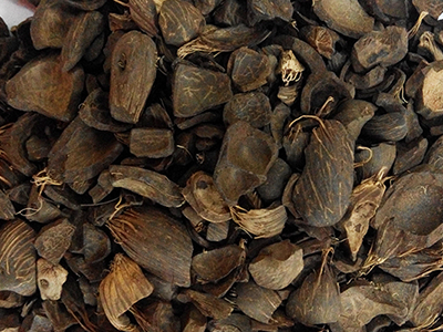 palm kernel shell
