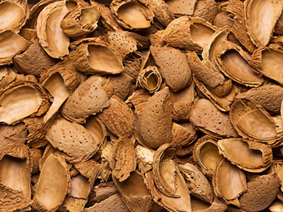 almond shell