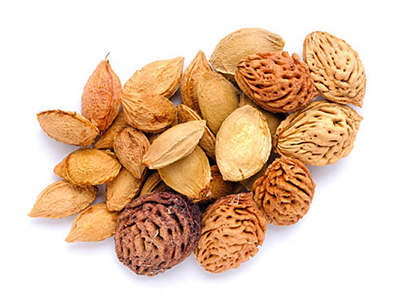 Peach kernel