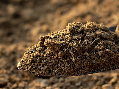 animal manure
