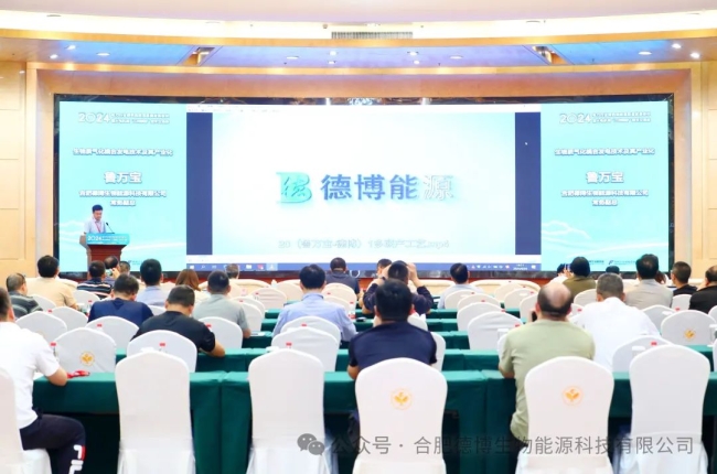 Debo's Moment at 2024 Conference on Green Low-carbon High-quality Development of Power Industry & Technology Symposium on "Three Upgradings" of Thermal Power Generation Set on Aug 29, 2024