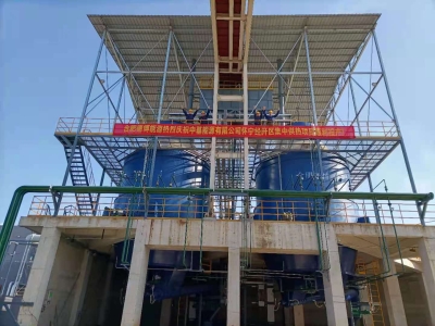 A Demo Biomass Gasification Plant for Combined Heat & Biochar Production Developed by Debo Energy
