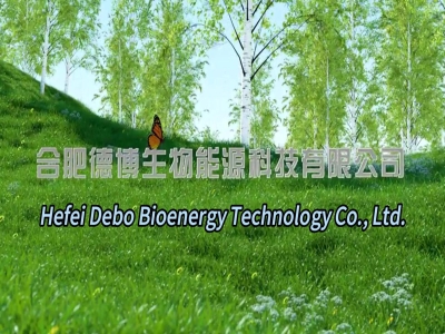 Debo Bioenergy Technology