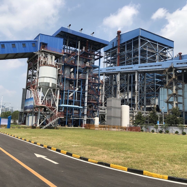 Circulating Fluidized Bed Gasifier