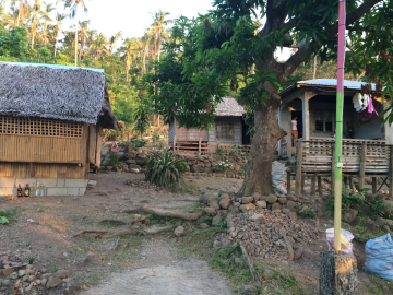 Gasifiers for Rural Electrification: Affordable Energy Access