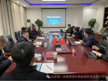 State Power Investment Group’s Visit to Hefei Debo for Investigation on Biomass Gasification Project on Nov 28, 2024